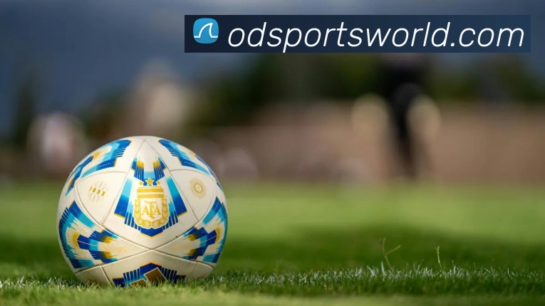 OD体育平台生态图