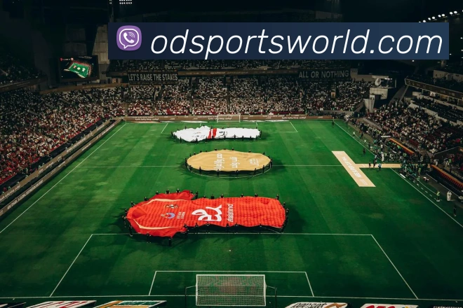 OD体育APP 封面图